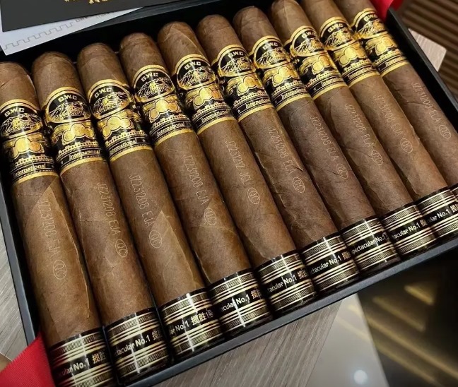 长城揽胜1号 - 图片