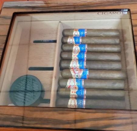 王冠蓝色假日 - 图片