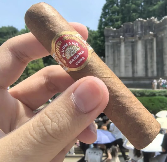 乌普曼半皇冠 - 图片