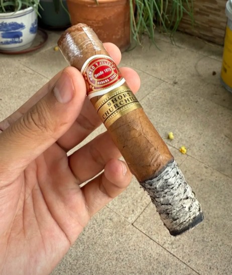 乌普曼半皇冠 - 图片