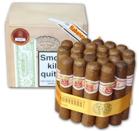 好友小罗伯图 - 图片