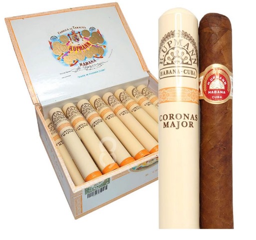 乌普曼美冠银管