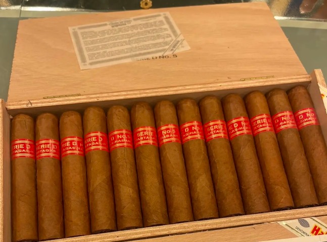 帕特加斯D5 - 图片