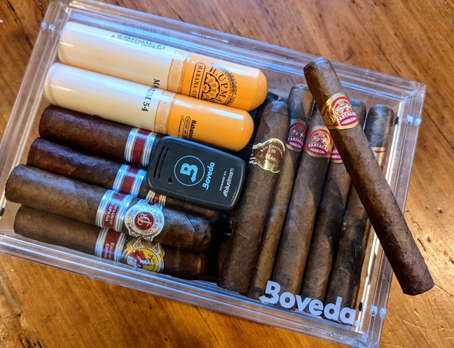 帕特加斯妙丽 - 图片