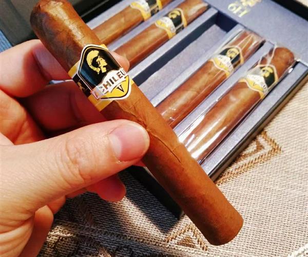 泰山将军6H战神 - 图片