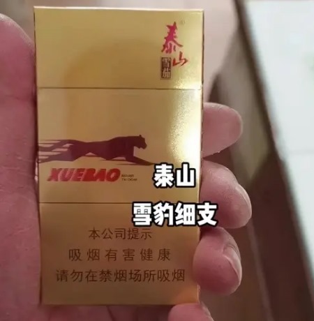 泰山雪豹 - 图片