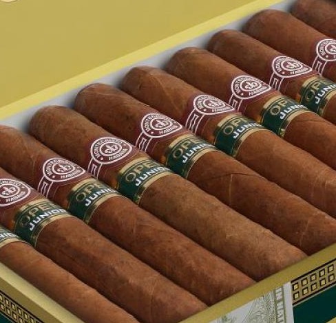 蒙特少年 - 图片