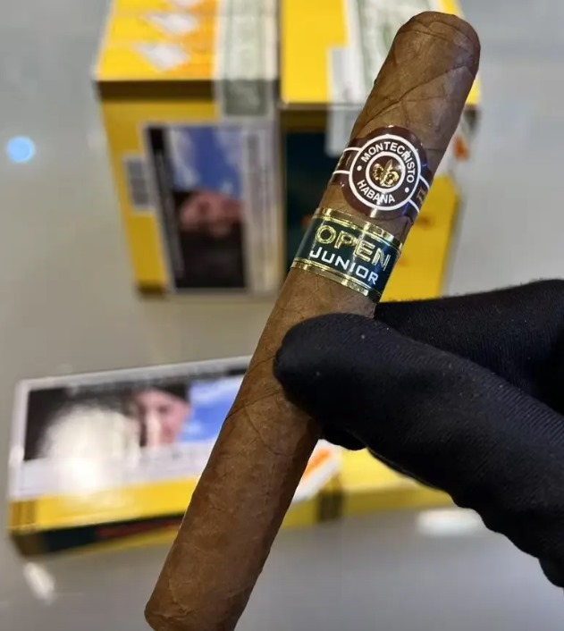 蒙特少年 - 图片