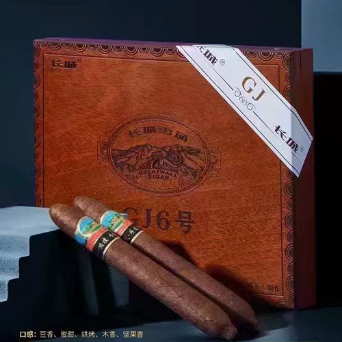 长城GJ6外交家 - 图片