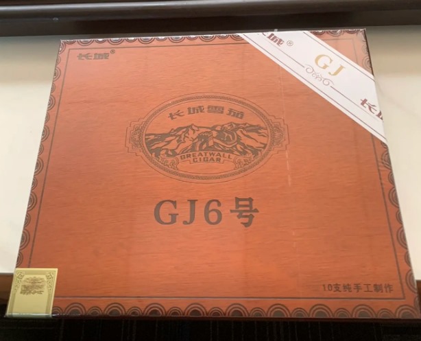 长城GJ6外交家 - 图片