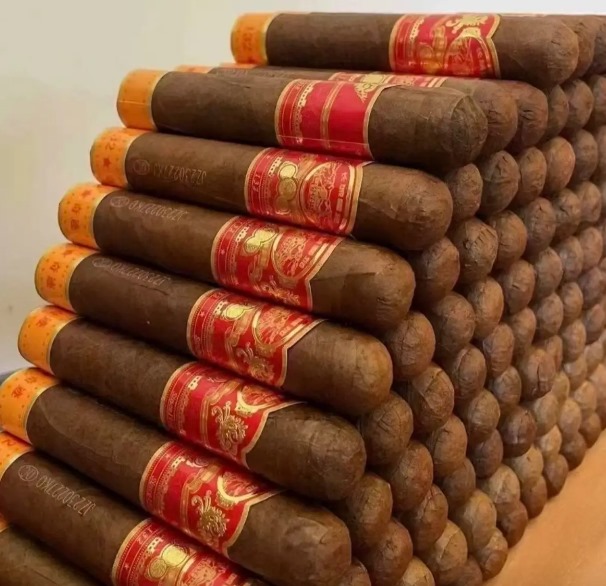 长城迷你 - 图片