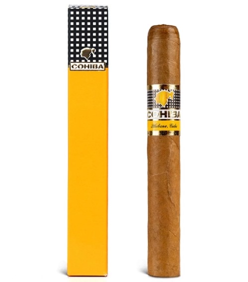 高希霸世纪2号纸盒装