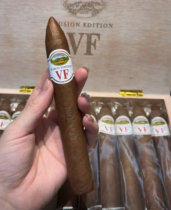 长城VF维嘉金字塔 - 图片