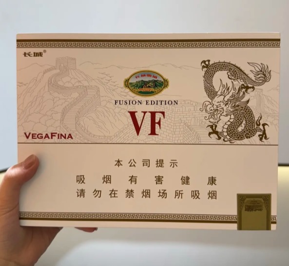 长城VF维嘉金字塔 - 图片