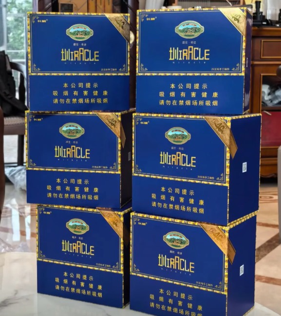 长城盛世奇迹深圳40周年纪念版 - 图片