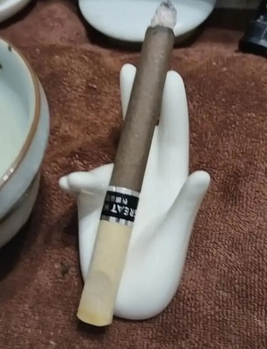 长城金南极 - 图片