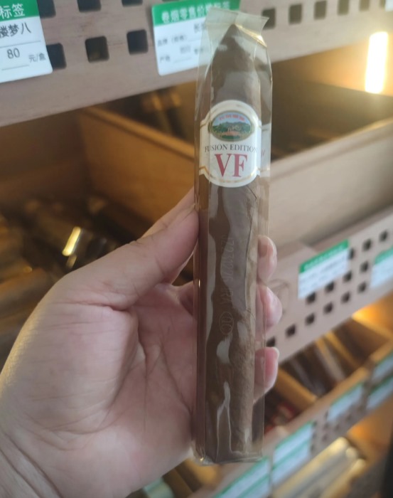 长城VF维嘉金字塔 - 图片