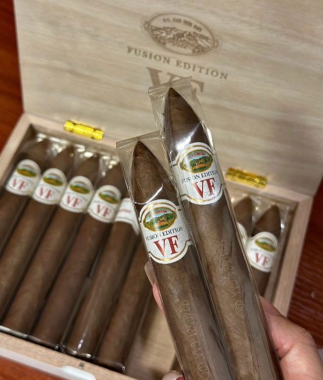 长城VF维嘉金字塔 - 图片