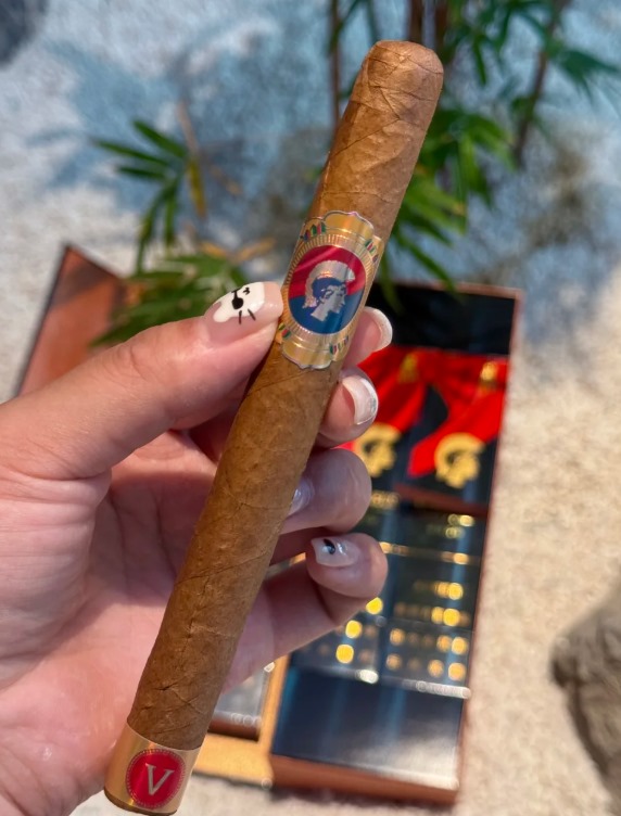 泰山战神5号 - 图片