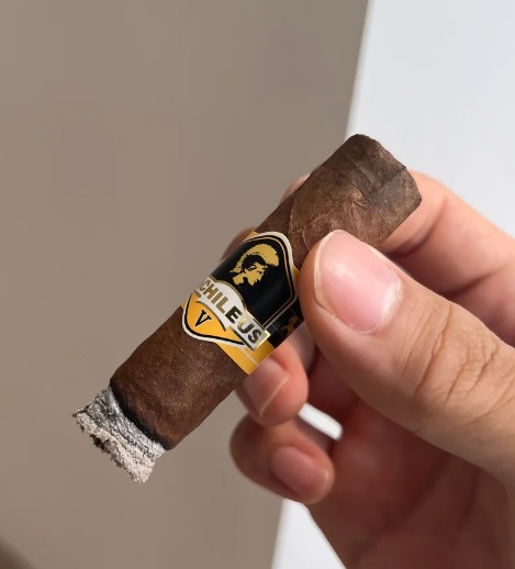 泰山战神6H - 图片