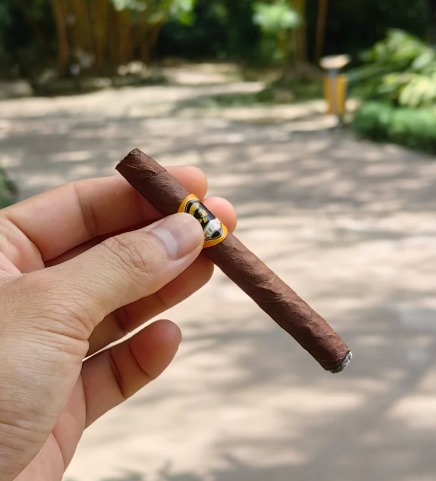 泰山荣耀短号 - 图片