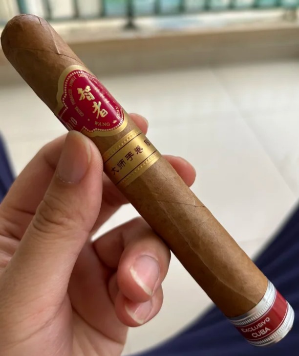 王冠智者 - 图片