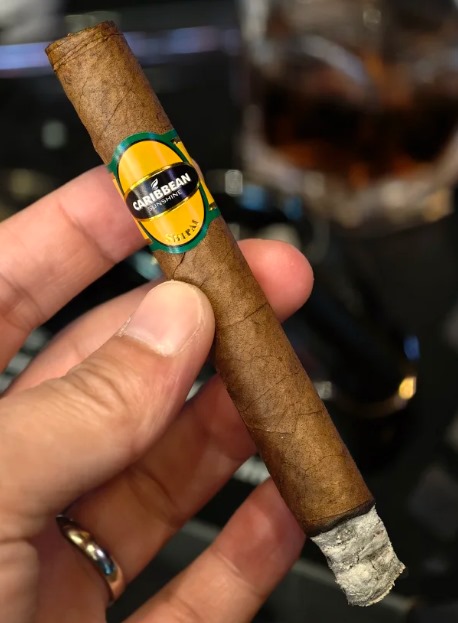 王冠加勒比 - 图片