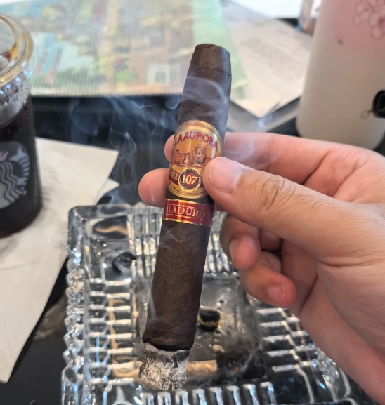 狮牌107马杜罗 - 图片