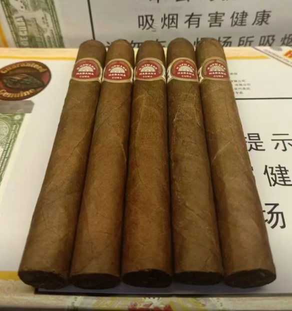 优民丽嘉 - 图片