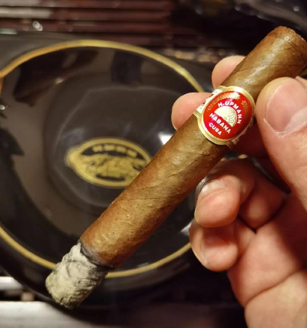 优民丽嘉 - 图片