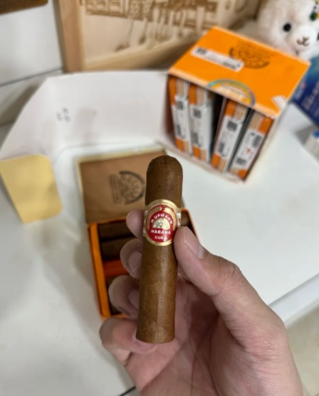 乌普曼半皇冠 - 图片