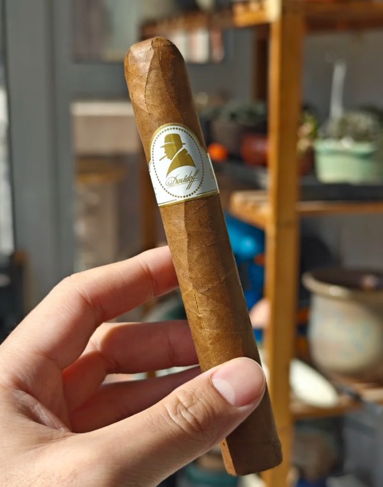 大卫指挥官 - 图片