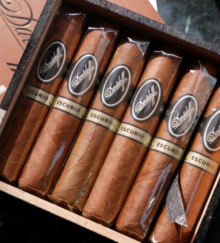 大卫艾斯库里奥罗伯