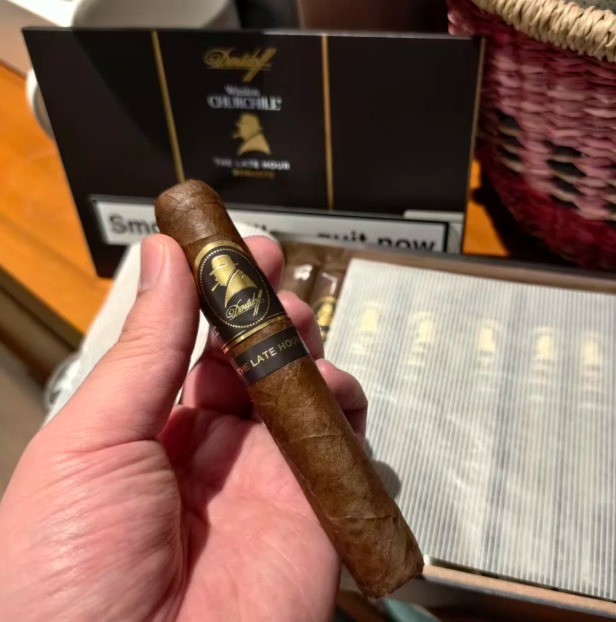 大卫至暗罗伯图