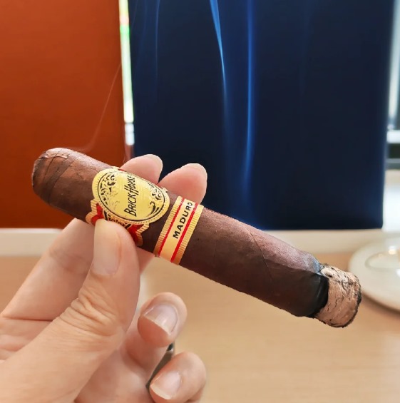 砖房罗伯图 - 图片