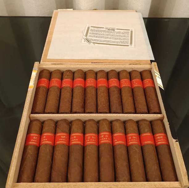 帕特加斯D6 - 图片