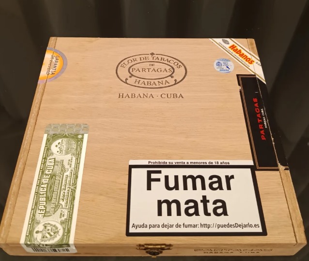 帕特加斯D6 - 图片