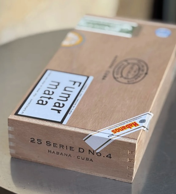 帕特加斯D4 - 图片