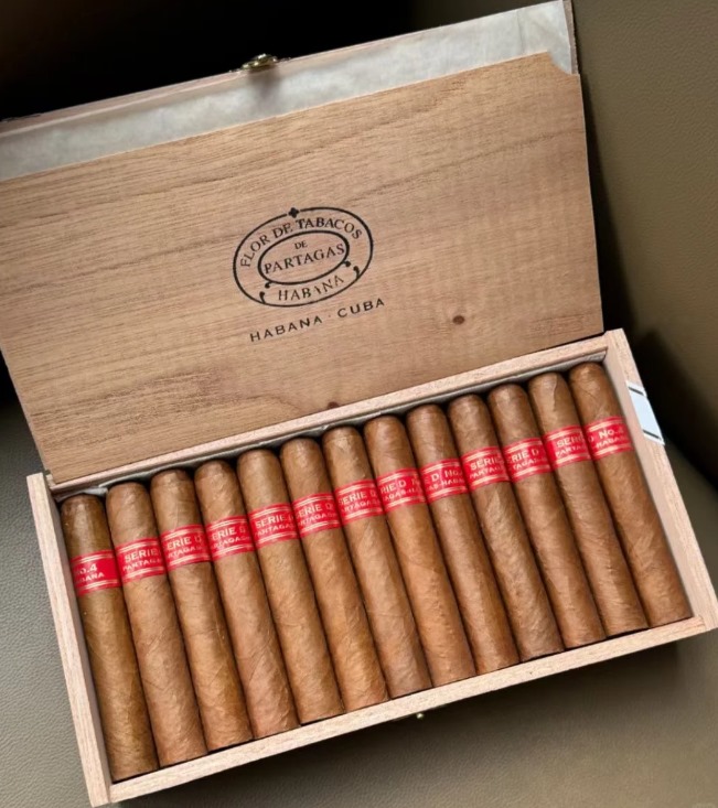 帕特加斯D4 - 图片