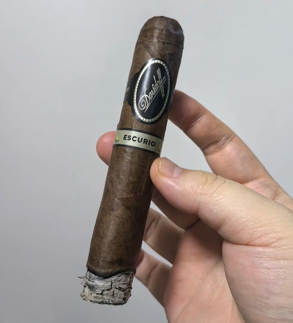 大卫至暗托罗公牛 - 图片