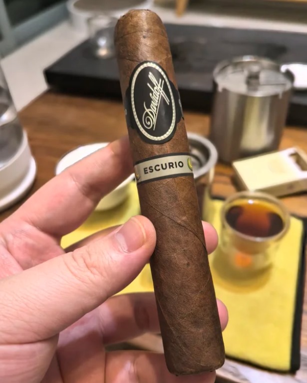 大卫至暗托罗公牛 - 图片