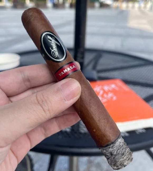 大卫指挥家 - 图片