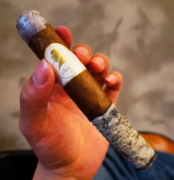 大卫指挥家 - 图片