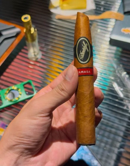 大卫玛雅鱼雷 - 图片