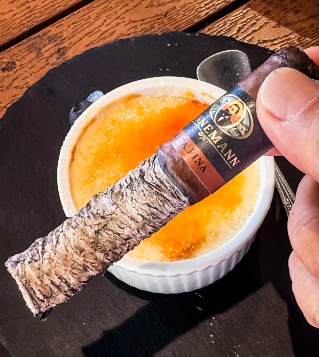 丹纳曼玛塔菲娜 - 图片