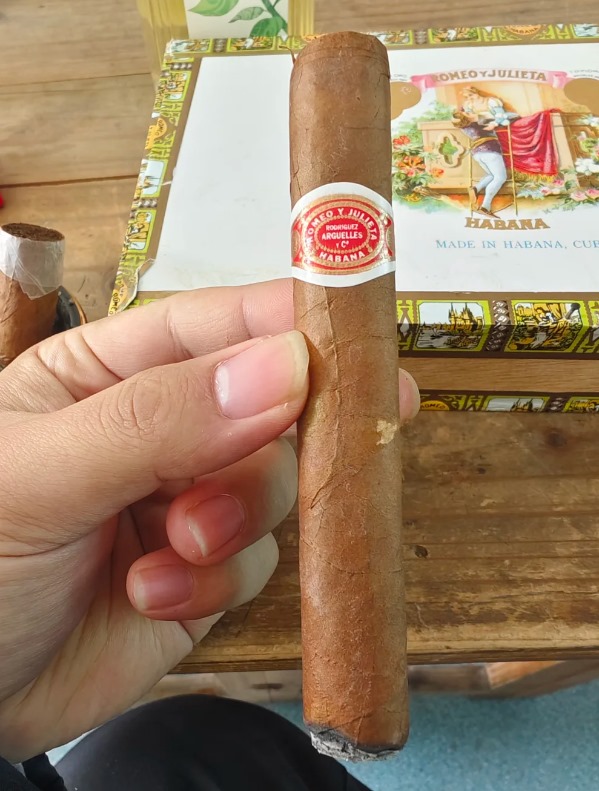 罗密欧展览馆4号 - 图片