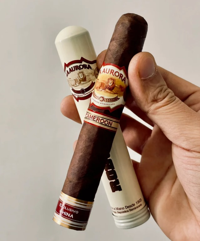 狮子王喀麦隆罗布图 - 图片