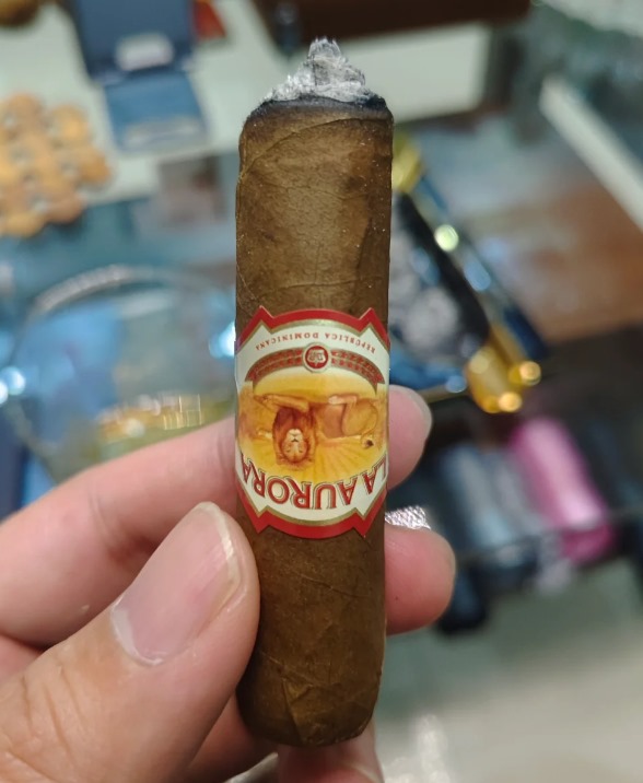 狮子王喀麦隆罗布图 - 图片