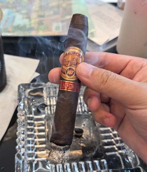 狮牌107马杜罗 - 图片