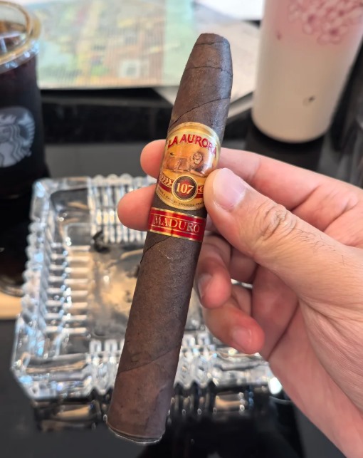 狮牌107马杜罗 - 图片